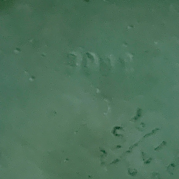 Vintage German Jasperware Jewelry Trinket Box Powder Box Cameo Motif Sage Green - Picture 11 of 14